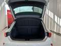 CUPRA Leon 1.5 eTSI DSG Grau - thumbnail 6