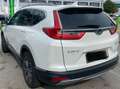 Honda CR-V CR-V 2,0 i-MMD Hybrid Elegance AWD Aut. Elegance Weiß - thumbnail 5