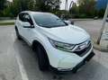 Honda CR-V CR-V 2,0 i-MMD Hybrid Elegance AWD Aut. Elegance Weiß - thumbnail 3