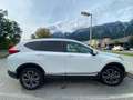 Honda CR-V CR-V 2,0 i-MMD Hybrid Elegance AWD Aut. Elegance Weiß - thumbnail 6