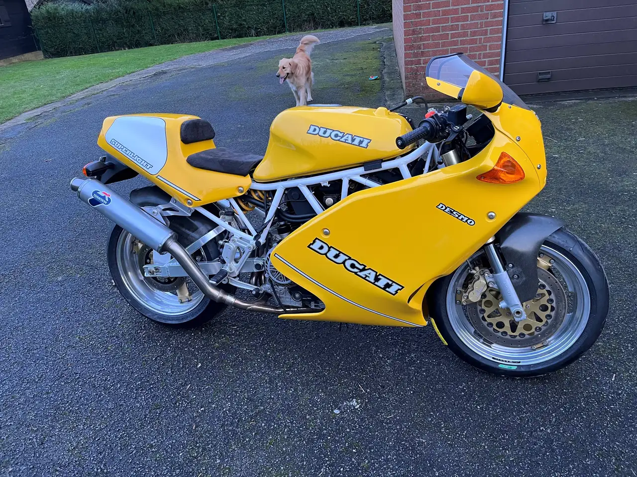 Ducati 900 SL