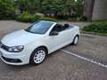 Volkswagen Eos 2.0 TSI DSG Exclusive - thumbnail 17