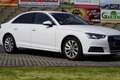 Audi A4 2,0 TDI S-tronic Weiß - thumbnail 2