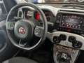Fiat Panda Panda III 2021 Cross 1.0 firefly hybrid Cross s Grigio - thumbnail 11
