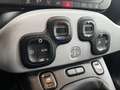 Fiat Panda Panda III 2021 Cross 1.0 firefly hybrid Cross s Grigio - thumbnail 12