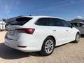 Skoda Octavia Combi Style,NAVI,LED,ACC,SHZ,RFK,AHK,PDC - thumbnail 3