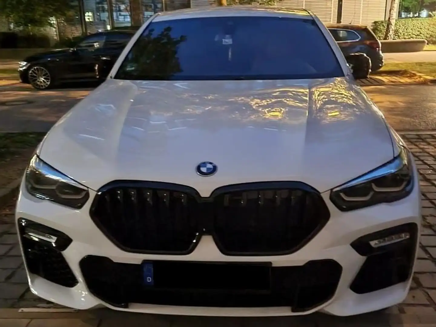 BMW X6 X6 xDrive30d Weiß - 2