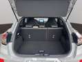 Ford Puma 1.5 ecoboost ST s&s 200cv Gris - thumbnail 9
