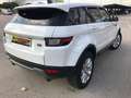 Land Rover Range Rover Evoque 2.0D MHEV R-Dynamic SE AWD Aut. 150 Blanco - thumbnail 5