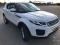 Land Rover Range Rover Evoque 2.0D MHEV R-Dynamic SE AWD Aut. 150 Blanco - thumbnail 3