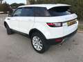 Land Rover Range Rover Evoque 2.0D MHEV R-Dynamic SE AWD Aut. 150 Blanco - thumbnail 7