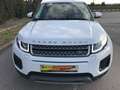 Land Rover Range Rover Evoque 2.0D MHEV R-Dynamic SE AWD Aut. 150 Blanco - thumbnail 2