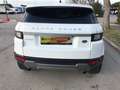 Land Rover Range Rover Evoque 2.0D MHEV R-Dynamic SE AWD Aut. 150 Blanco - thumbnail 6