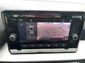 SEAT Ibiza 1.0 TSI Xcellence Aut. ASSIST+LED+RFK+TEMP Blau - thumbnail 19