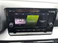 SEAT Ibiza 1.0 TSI Xcellence Aut. ASSIST+LED+RFK+TEMP Blau - thumbnail 17
