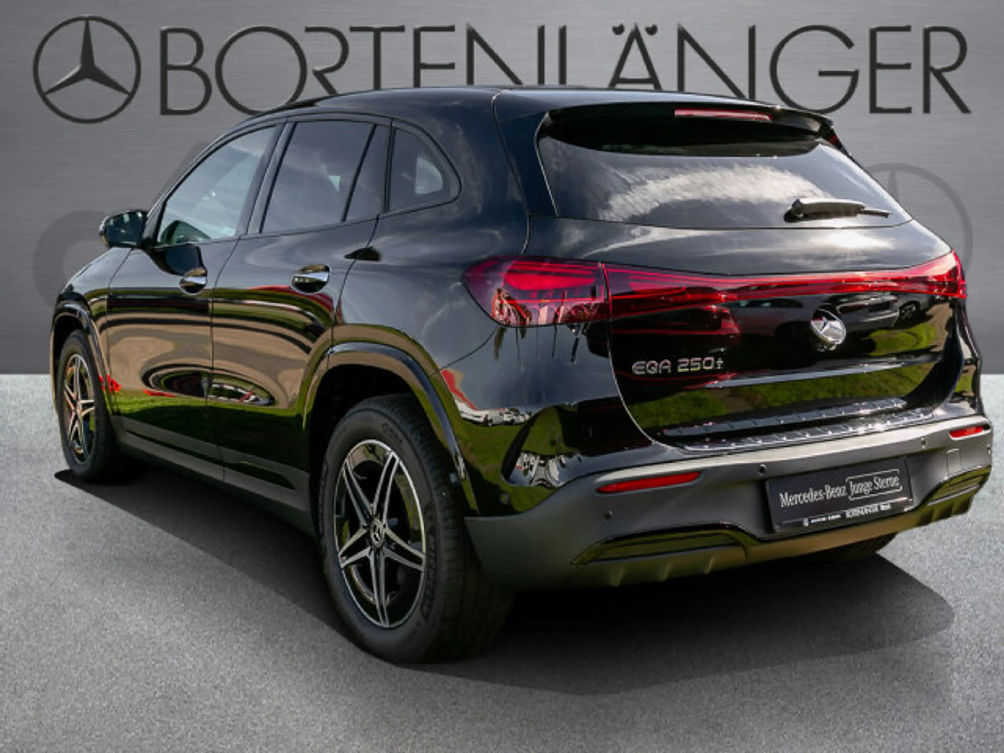 Mercedes-Benz EQA 250 + AMG Night Distronic LED Kamera MBUX — photo 2