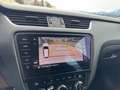 Skoda Octavia Combi RS 2,0 TDI 4x4 DSG Navi/STDHZG/Virtual/Kessy Grau - thumbnail 24
