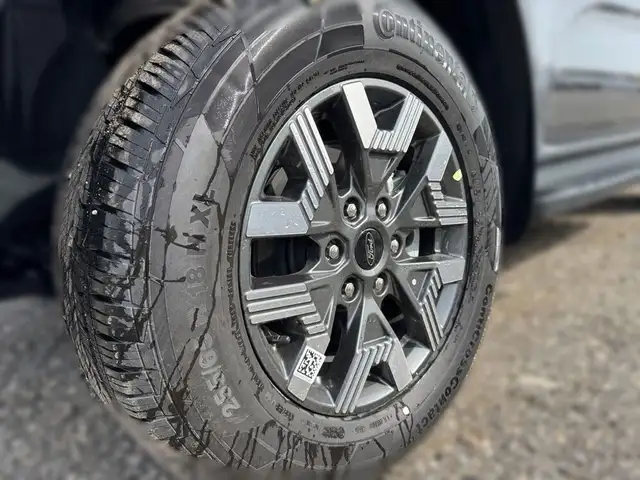 Ford Ranger Doppelkabine Wildtrak e-4WD 2.3 EcoBoost Ansicht 8