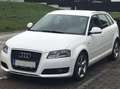Audi A3 A3 SB 1,4 TFSI Ambiente Ambiente Weiß - thumbnail 11