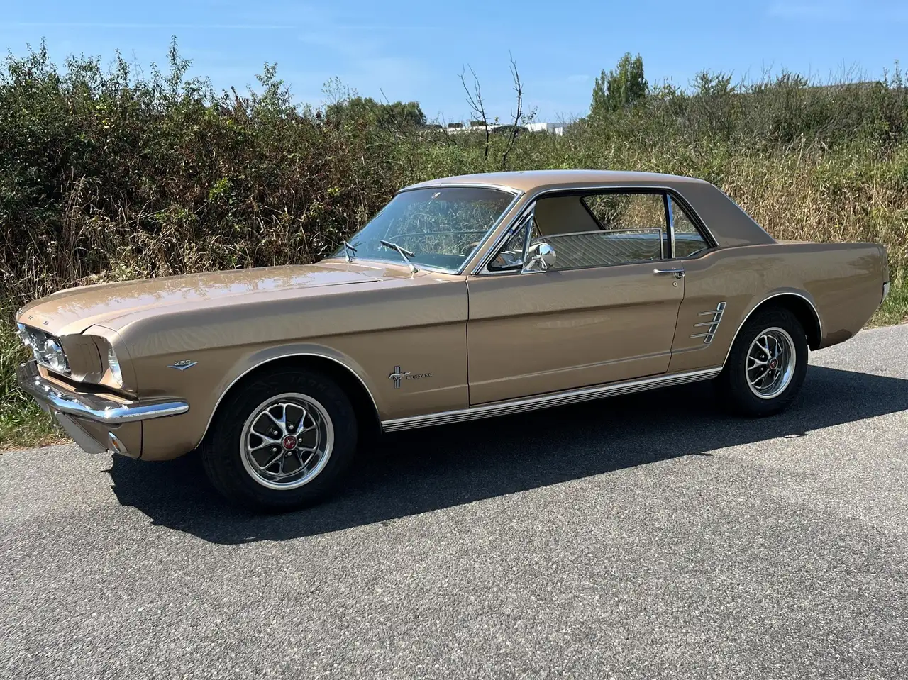 Ford Mustang, foto 3