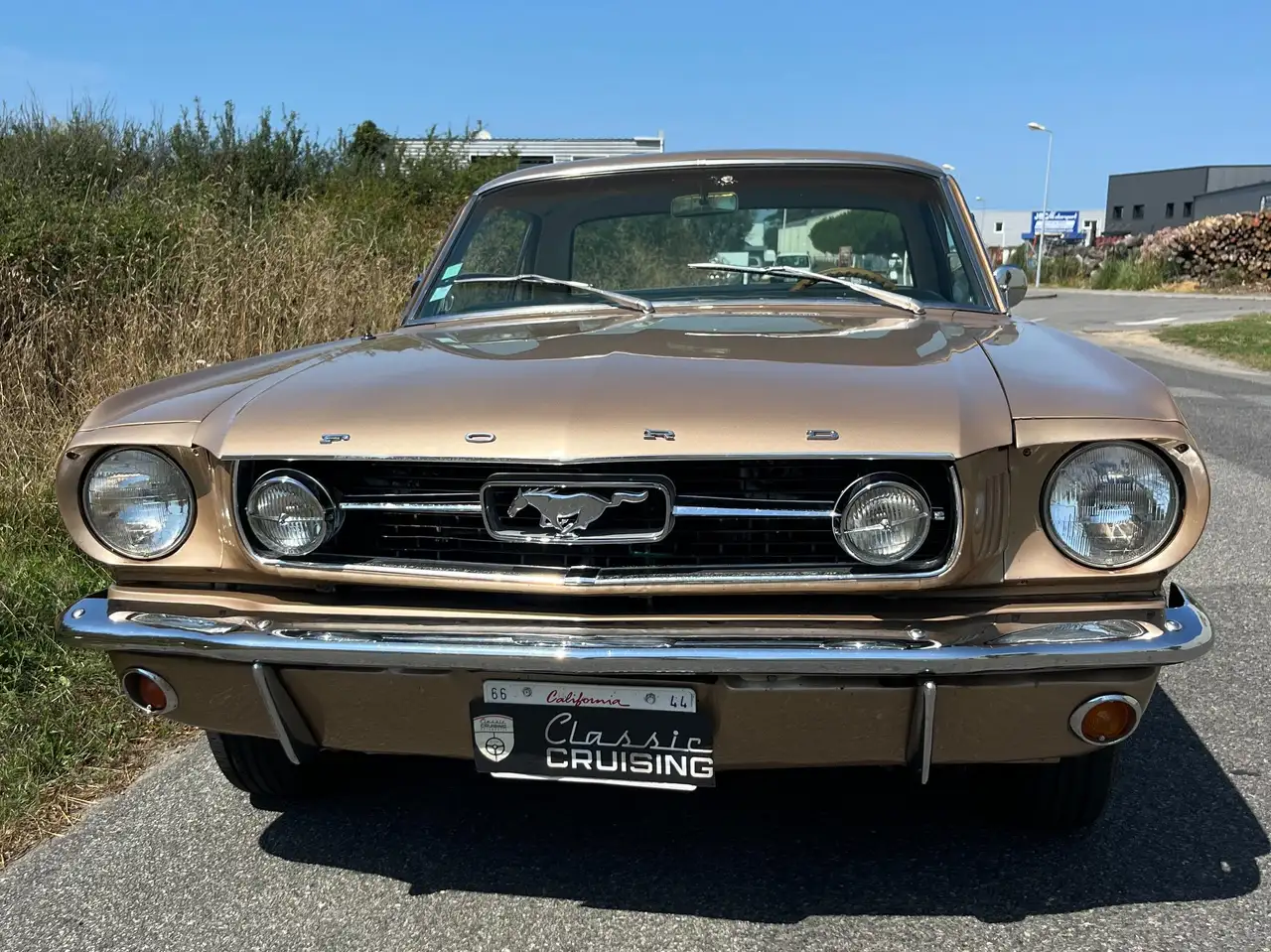 Ford Mustang, foto 2