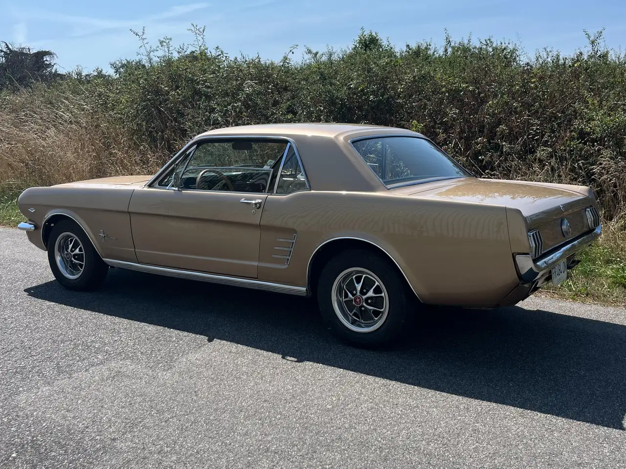 Ford Mustang, foto 4