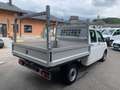 Volkswagen T6 Transporter Doka-Pritsche,Pickerl+Service+ZweimassenschwungNeu Weiß - thumbnail 6