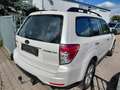 Subaru Forester 2.0  HU & AU 04-2026! Weiß - thumbnail 4