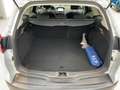 Ford Focus Turnier 1.0 EcoBoost Titanium SHZ+2xKlima Argent - thumbnail 14