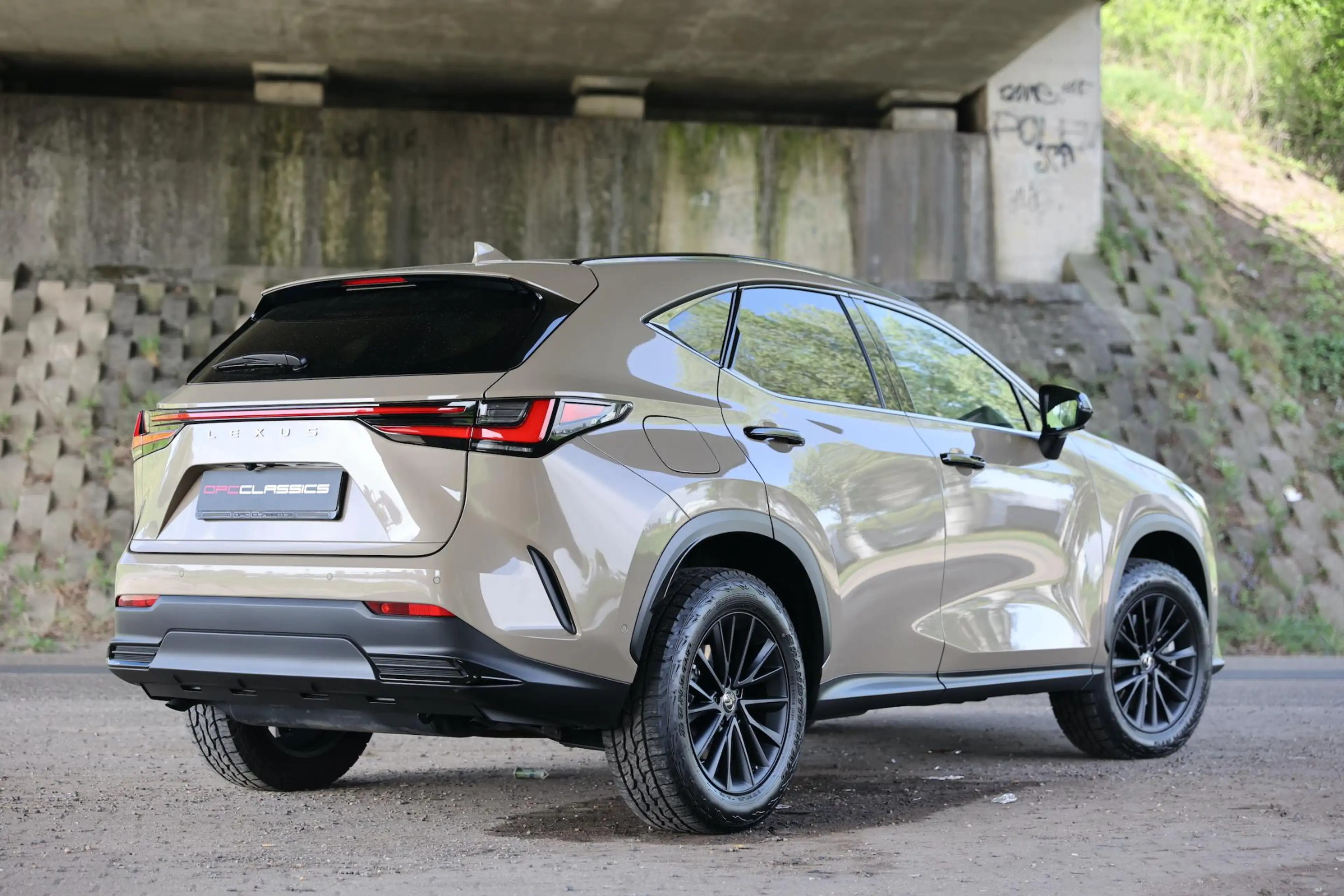 Lexus NX 450h+ AWD Overtrail E-Four — photo 5