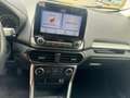 Ford EcoSport Ecosport 1.0 EcoBoost FWD Connected (EU6d) Zwart - thumbnail 13