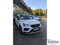 CUPRA Ateca 2,0 TSI DSG AHK Navi ACC El.Heckklappe Weiß - thumbnail 2