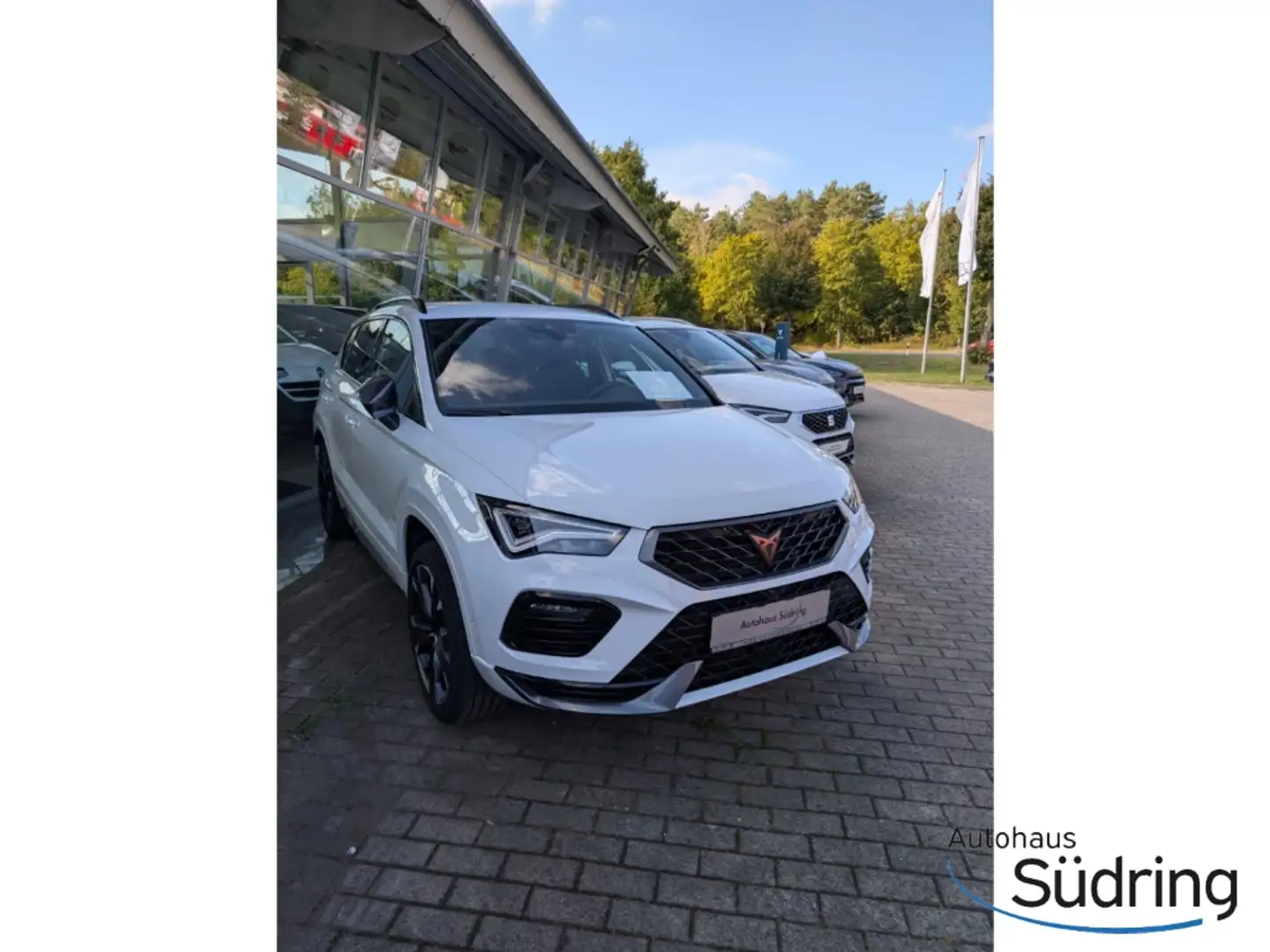 CUPRA Ateca 2,0 TSI DSG AHK Navi ACC El.Heckklappe Weiß - 2