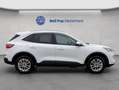 Ford Kuga 2.5 Duratec PHEV TITANIUM Blanc - thumbnail 8
