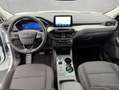 Ford Kuga 2.5 Duratec PHEV TITANIUM Blanc - thumbnail 14