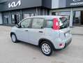 Fiat Panda Panda 1.0 FireFly S&S Hybrid - thumbnail 3