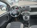 Fiat Panda Panda 1.0 FireFly S&S Hybrid - thumbnail 6