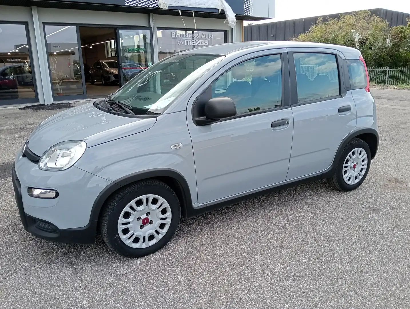 Fiat Panda Panda 1.0 FireFly S&S Hybrid - 1