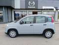 Fiat Panda Panda 1.0 FireFly S&S Hybrid - thumbnail 2