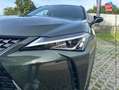 Lexus UX 250h 250h 2WD Premium Edition MY21 Camera Carplay Grün - thumbnail 11