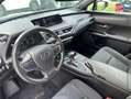 Lexus UX 250h 250h 2WD Premium Edition MY21 Camera Carplay Grün - thumbnail 15