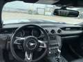 Ford Mustang FORD MUSTANG 3.7 V6, SUPERBOLLO RIDOTTO - thumbnail 5