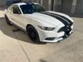 Ford Mustang FORD MUSTANG 3.7 V6, SUPERBOLLO RIDOTTO - thumbnail 4
