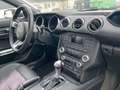 Ford Mustang FORD MUSTANG 3.7 V6, SUPERBOLLO RIDOTTO - thumbnail 10