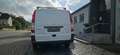 Mercedes-Benz Vito Kasten 109 CDI lang AHK 1. Hand Scheckheft Weiß - thumbnail 4