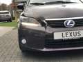 Lexus CT 200h Luxury Line | Mark Levinson, Leer, Geheugenfunctie Коричневий - thumbnail 10