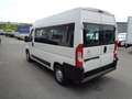 Citroen Jumper Panorama 9 posti Bianco - thumbnail 4