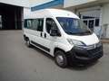Citroen Jumper Panorama 9 posti Bianco - thumbnail 3