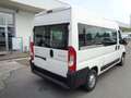 Citroen Jumper Panorama 9 posti Bianco - thumbnail 5