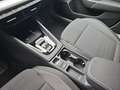 Skoda Octavia OCTAVIA COMBI 1.5 TSI DSG SELECTION LED AUDIO WINT Grau - thumbnail 13